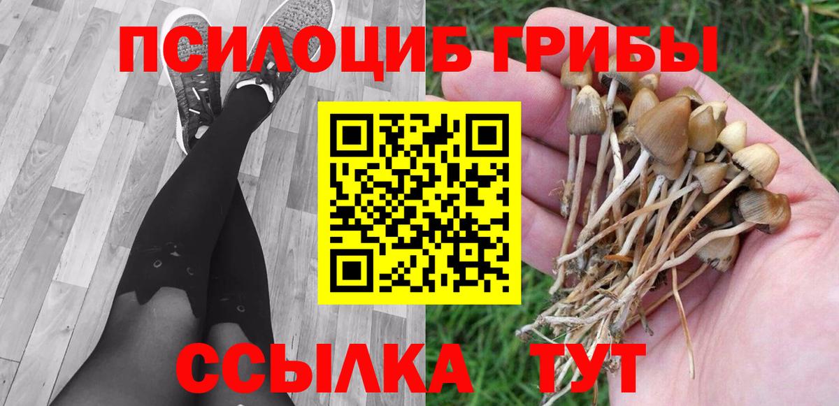 Галлюциногенные грибы Cubensis Донецк